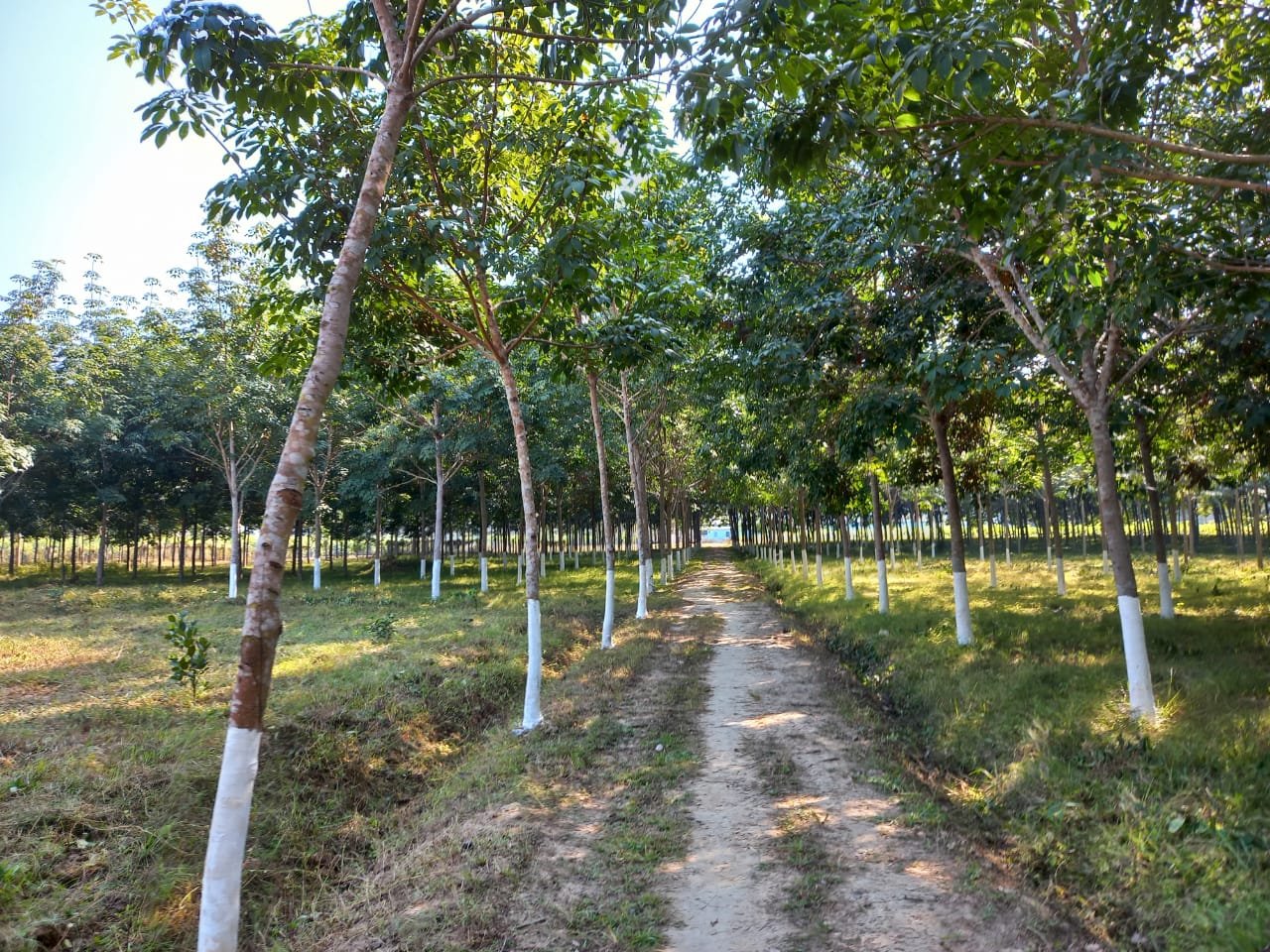 Jawaharlal Nehru College - Slide 3